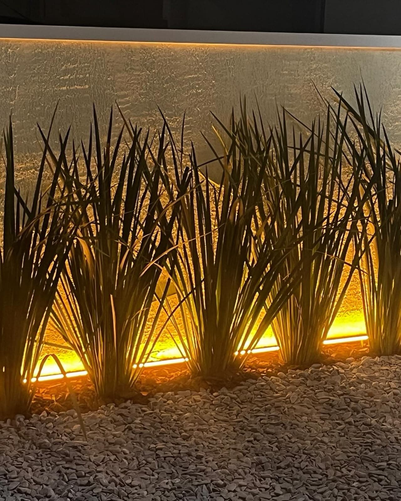 Fita de LED embutida em jardim iluminando vegetação ornamental à noite